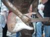 _rory_gallagher_statue6_small.jpg