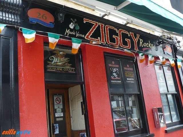 _ziggy_bar.jpg