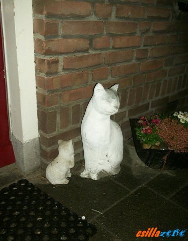_dutch_cats.jpg