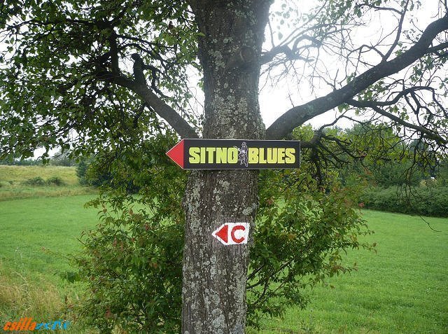 _sitno_blues2.jpg
