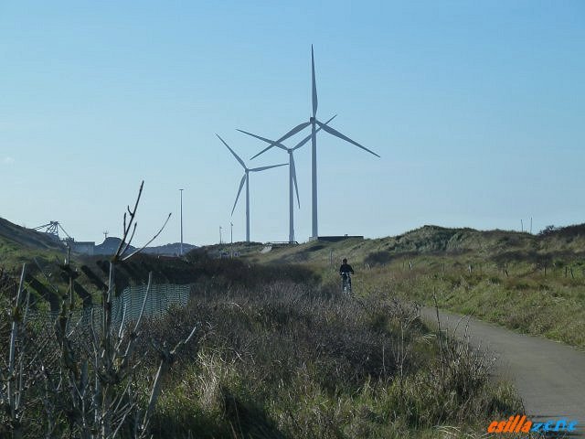 _wijk_aan_zee20.jpg