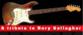 Rory Gallagher.nl logo